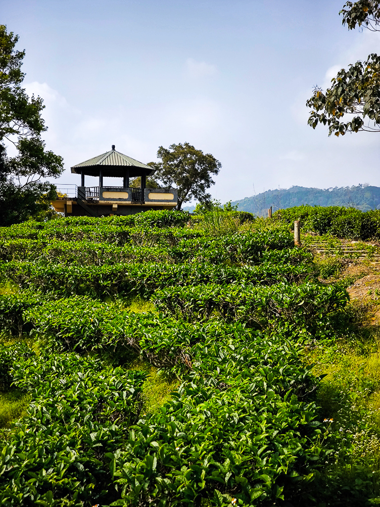 IMG_20250329_085821.jpg IMG_20250329_085821.jpg