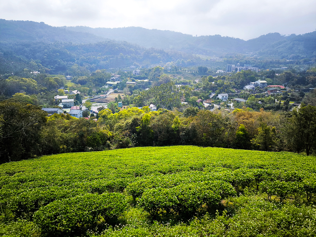 IMG_20250329_090002.jpg IMG_20250329_090002.jpg