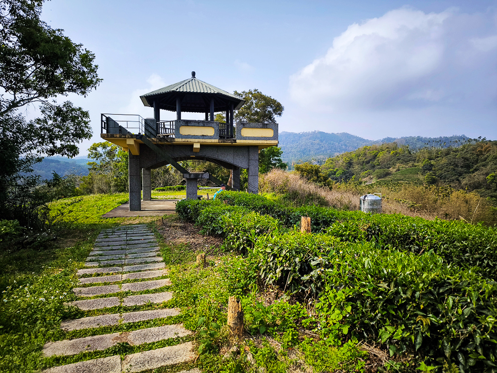 IMG_20250329_085918.jpg IMG_20250329_085918.jpg