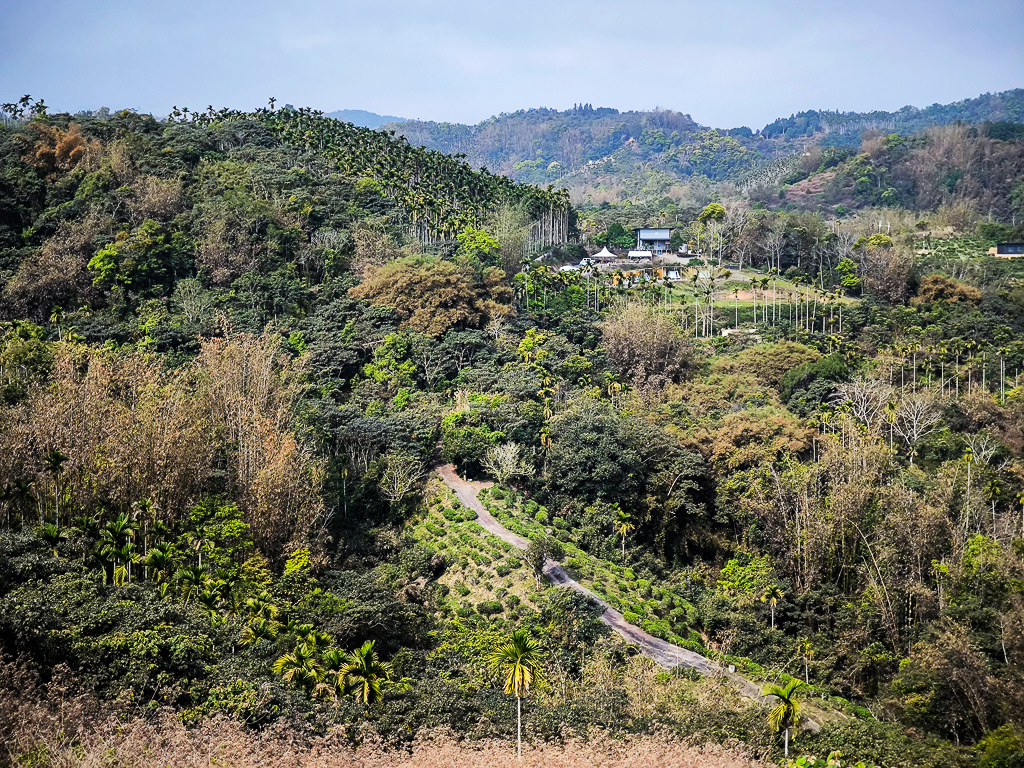 IMG_20250329_090151.jpg IMG_20250329_090151.jpg