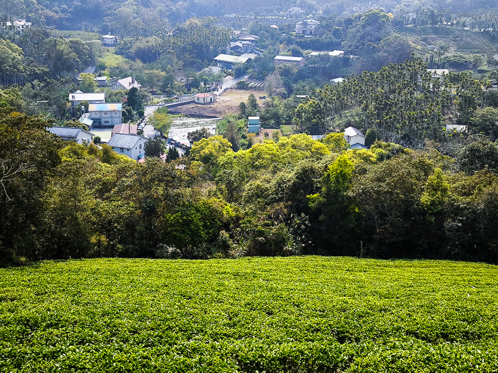 IMG_20250329_090314.jpg IMG_20250329_090314.jpg