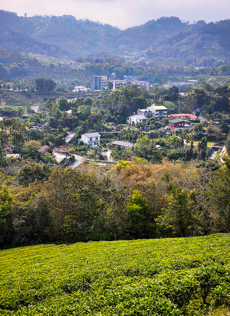 IMG_20250329_090406-編輯-編輯.jpg IMG_20250329_090406-編輯-編輯.jpg