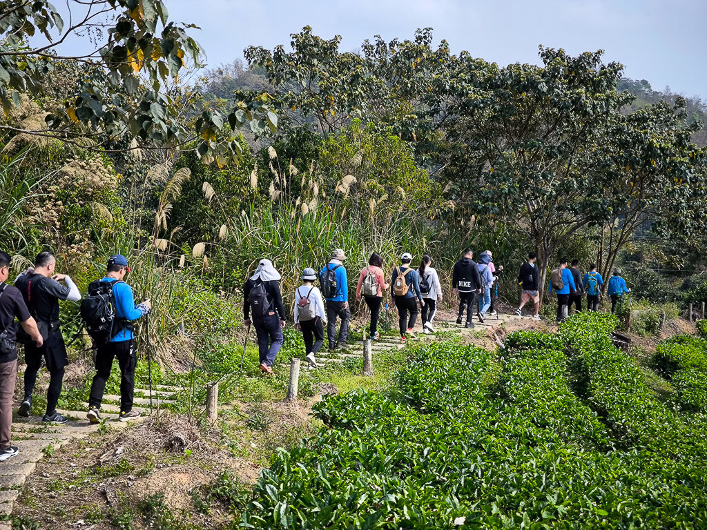 IMG_20250329_090709.jpg IMG_20250329_090709.jpg