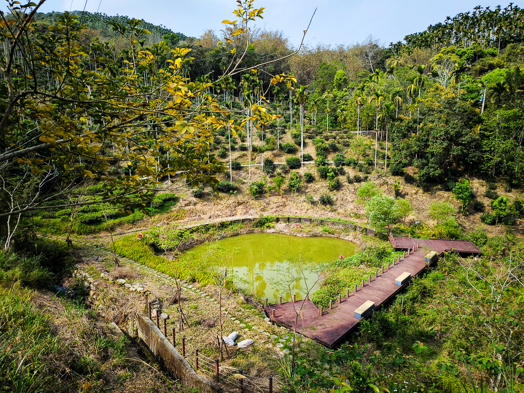 IMG_20250329_091633.jpg IMG_20250329_091633.jpg