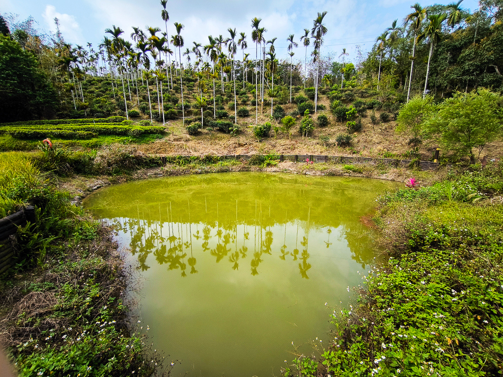 IMG_20250329_091902.jpg IMG_20250329_091902.jpg