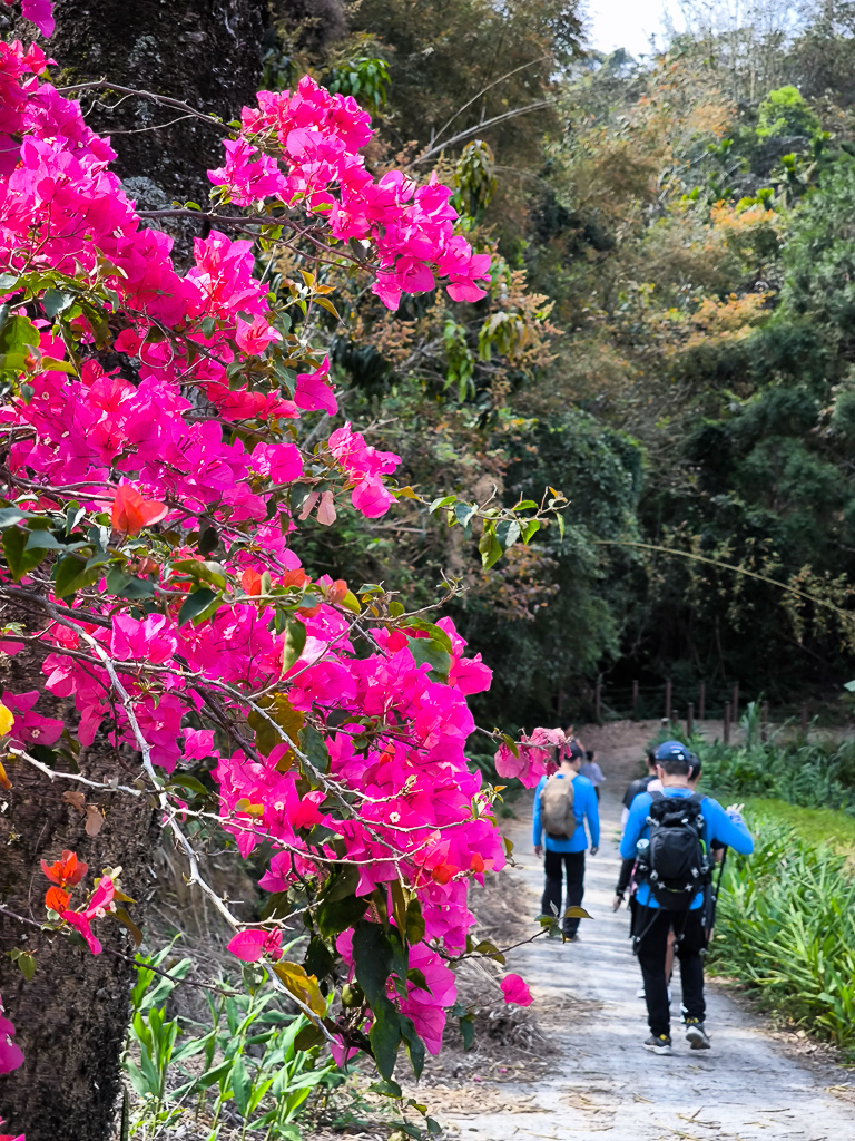 IMG_20250329_091710.jpg IMG_20250329_091710.jpg