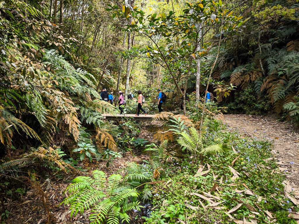 IMG_20250329_092345.jpg IMG_20250329_092345.jpg