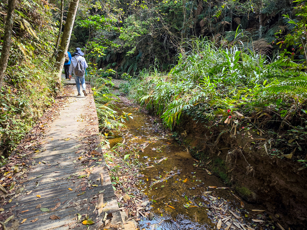 IMG_20250329_092430.jpg IMG_20250329_092430.jpg