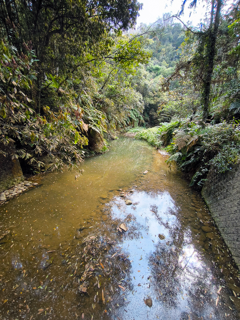 IMG_20250329_092724.jpg IMG_20250329_092724.jpg