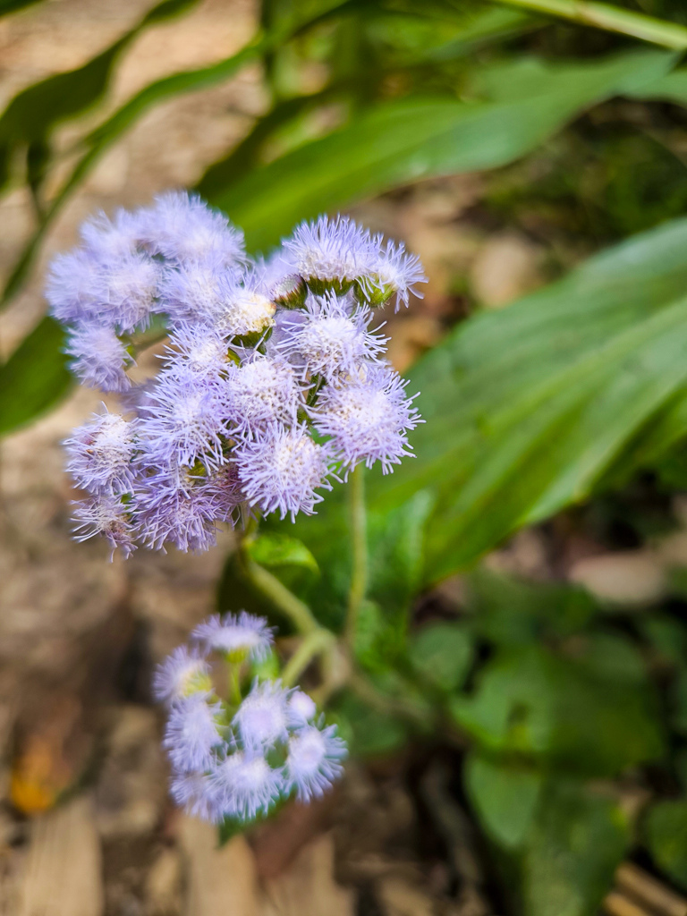 IMG_20250329_092507.jpg IMG_20250329_092507.jpg