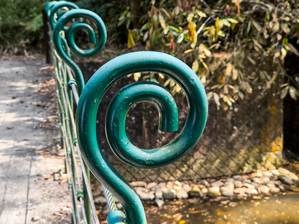 IMG_20250329_092750.jpg IMG_20250329_092750.jpg