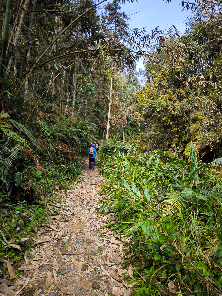 IMG_20250329_092542.jpg IMG_20250329_092542.jpg