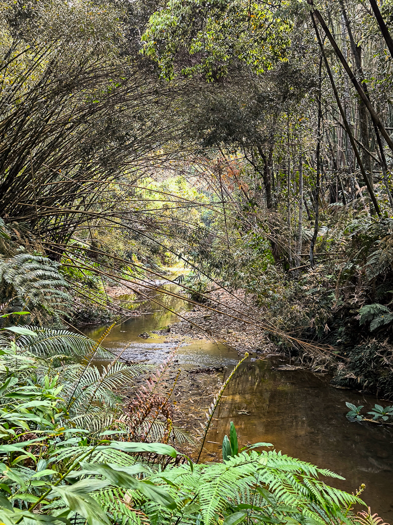 IMG_20250329_092943.jpg IMG_20250329_092943.jpg