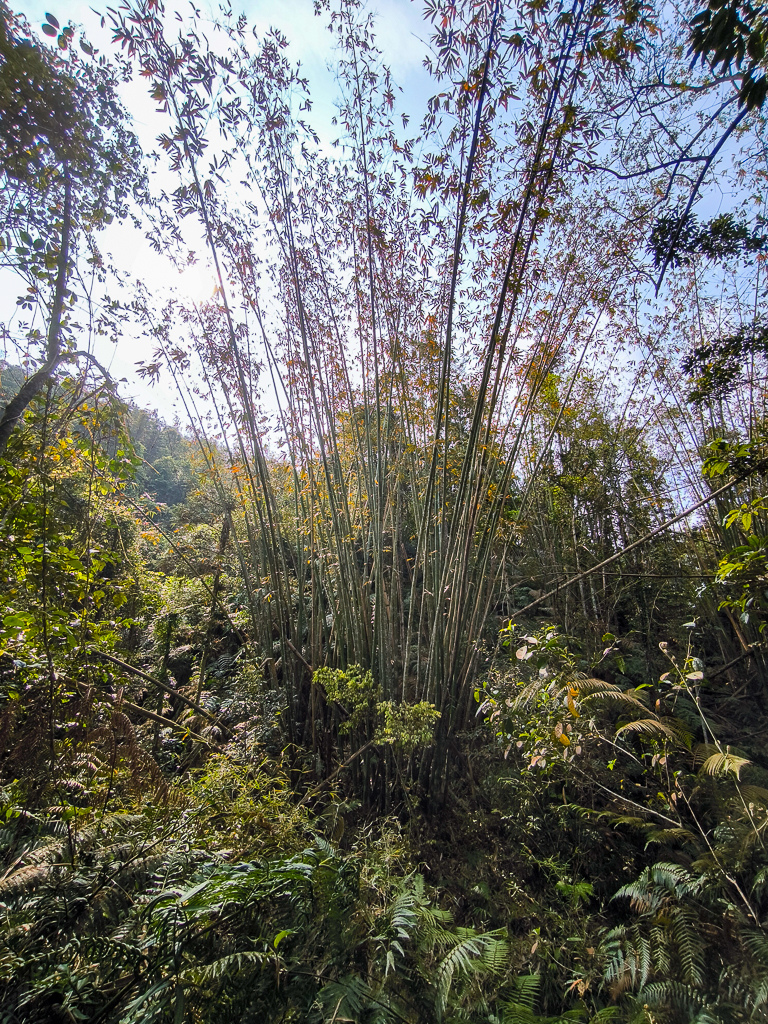 IMG_20250329_093057.jpg IMG_20250329_093057.jpg