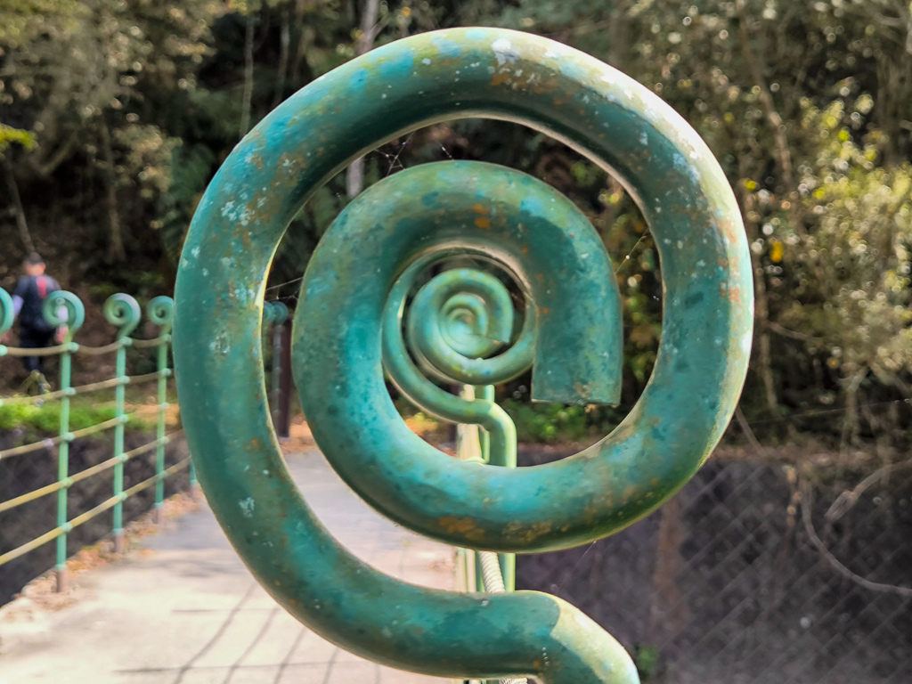 IMG_20250329_093254.jpg IMG_20250329_093254.jpg