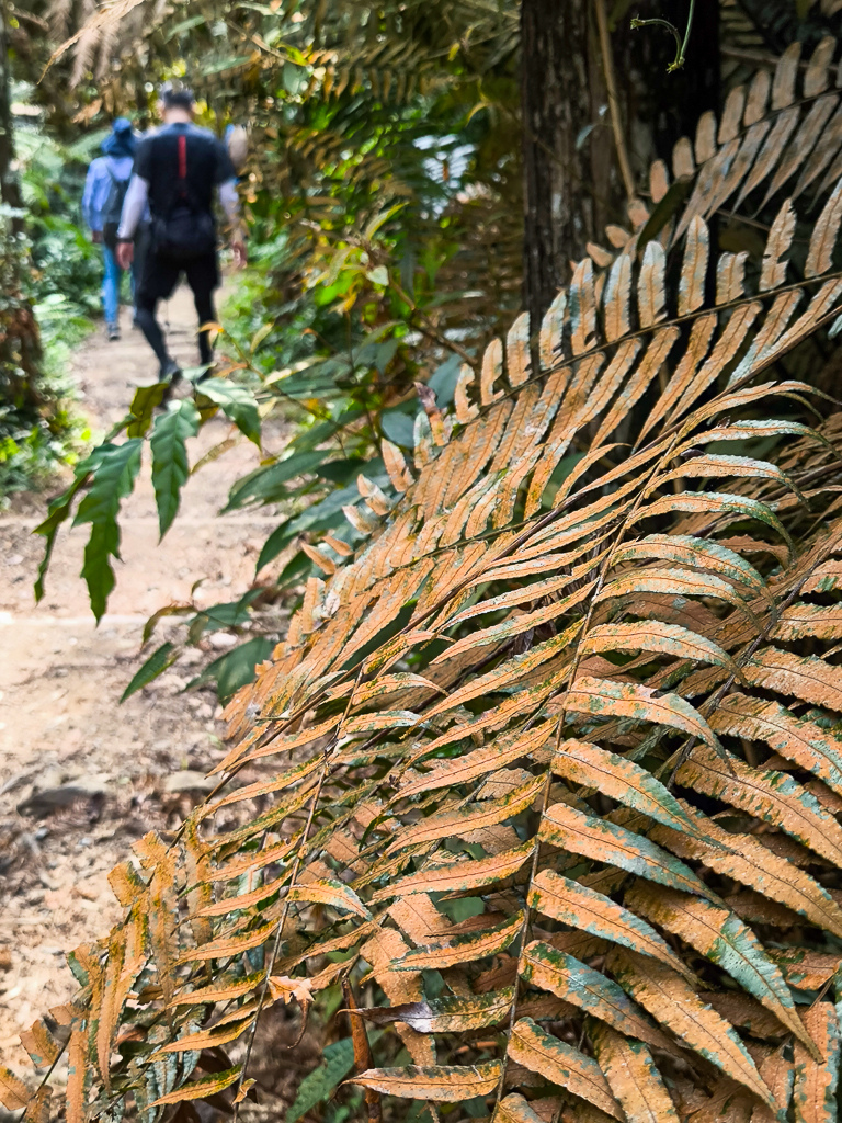 IMG_20250329_093404.jpg IMG_20250329_093404.jpg