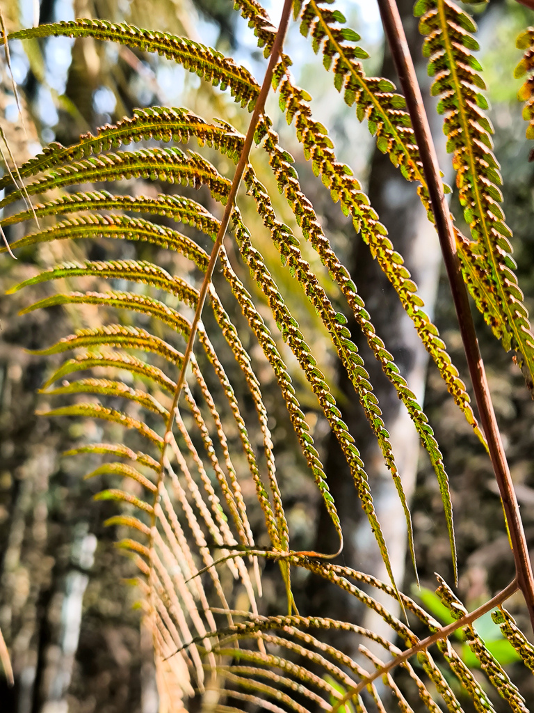 IMG_20250329_093912.jpg IMG_20250329_093912.jpg