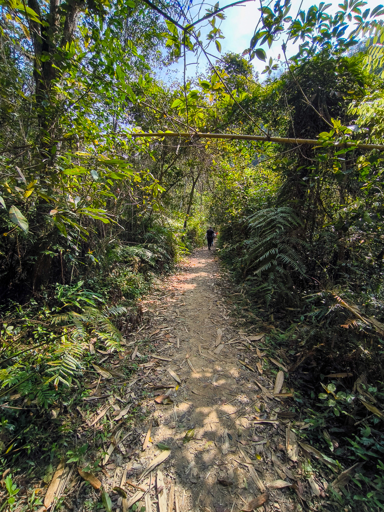 IMG_20250329_093102.jpg IMG_20250329_093102.jpg