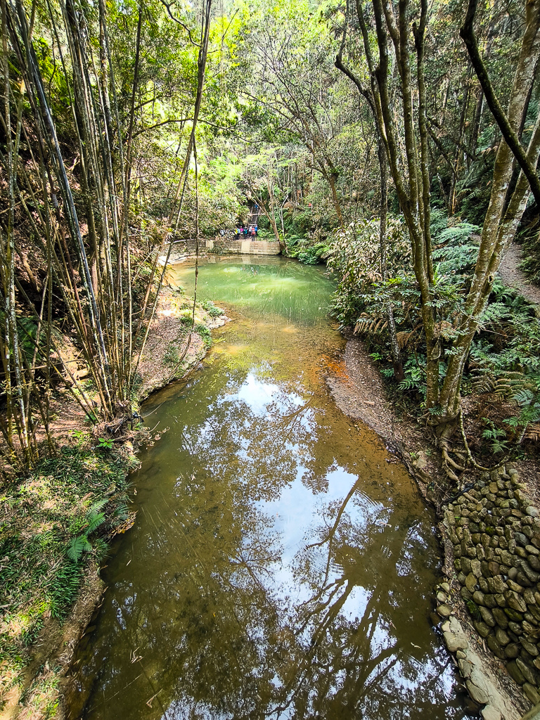 IMG_20250329_094218.jpg IMG_20250329_094218.jpg