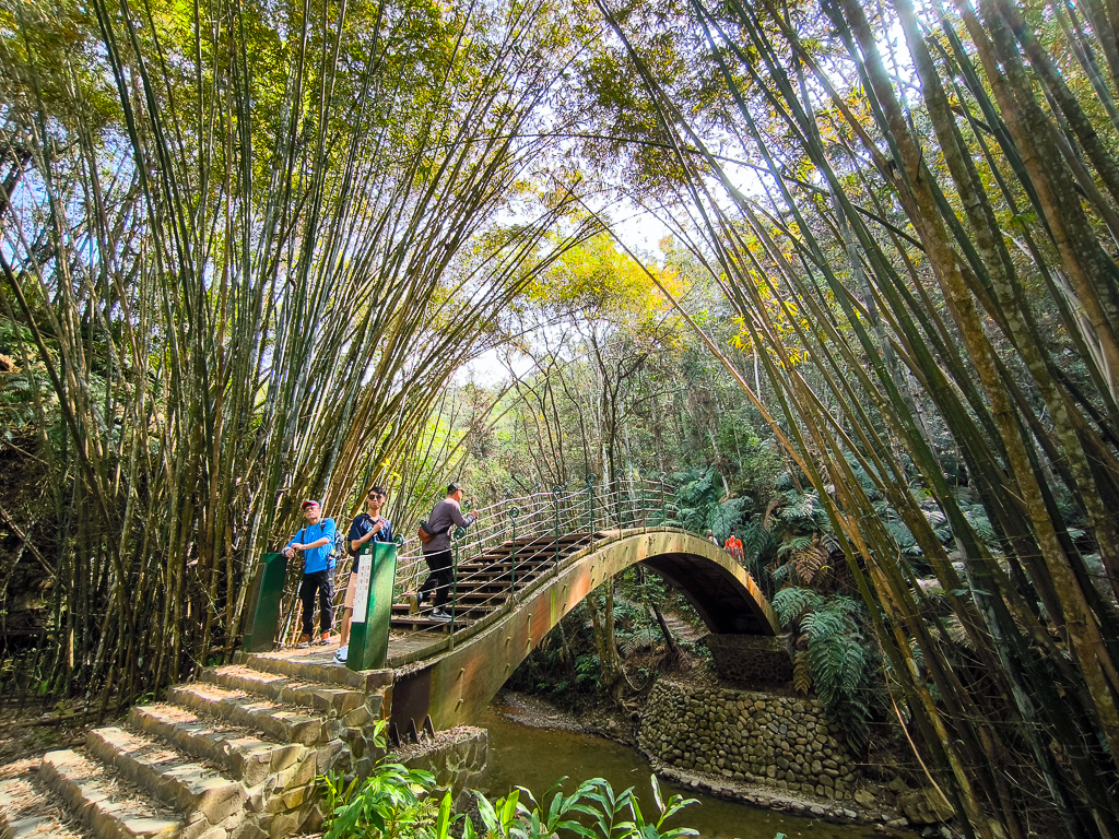 IMG_20250329_094110.jpg IMG_20250329_094110.jpg