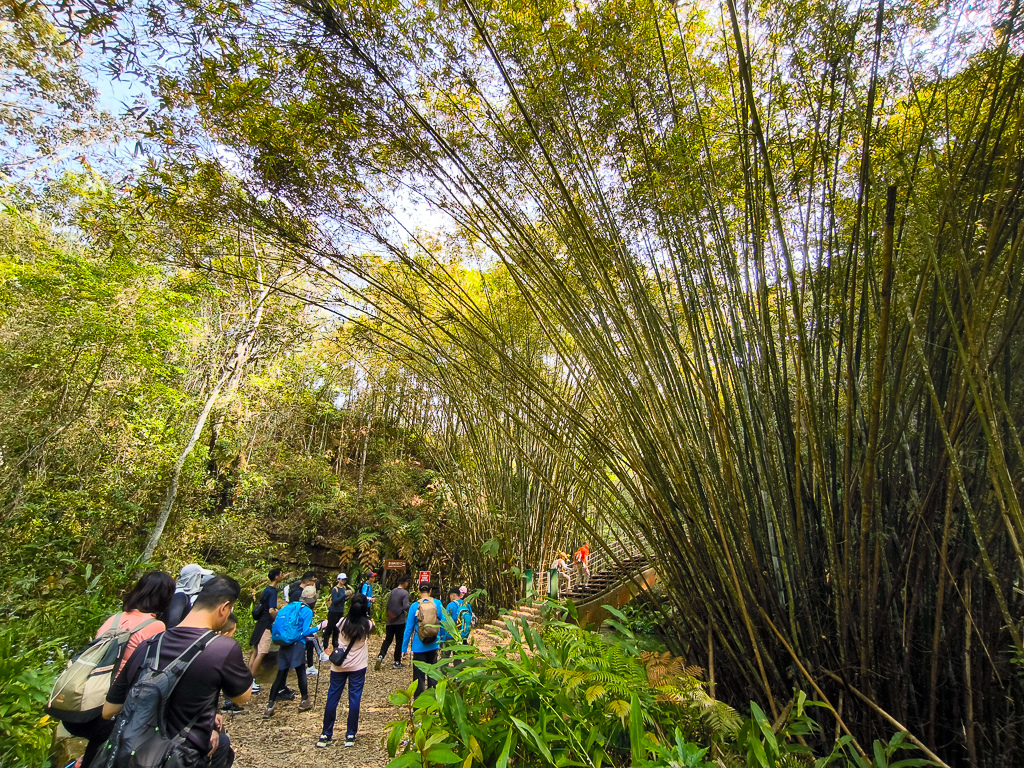 IMG_20250329_094049.jpg IMG_20250329_094049.jpg