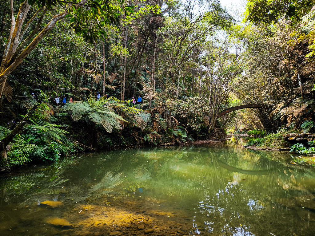 IMG_20250329_094650.jpg IMG_20250329_094650.jpg