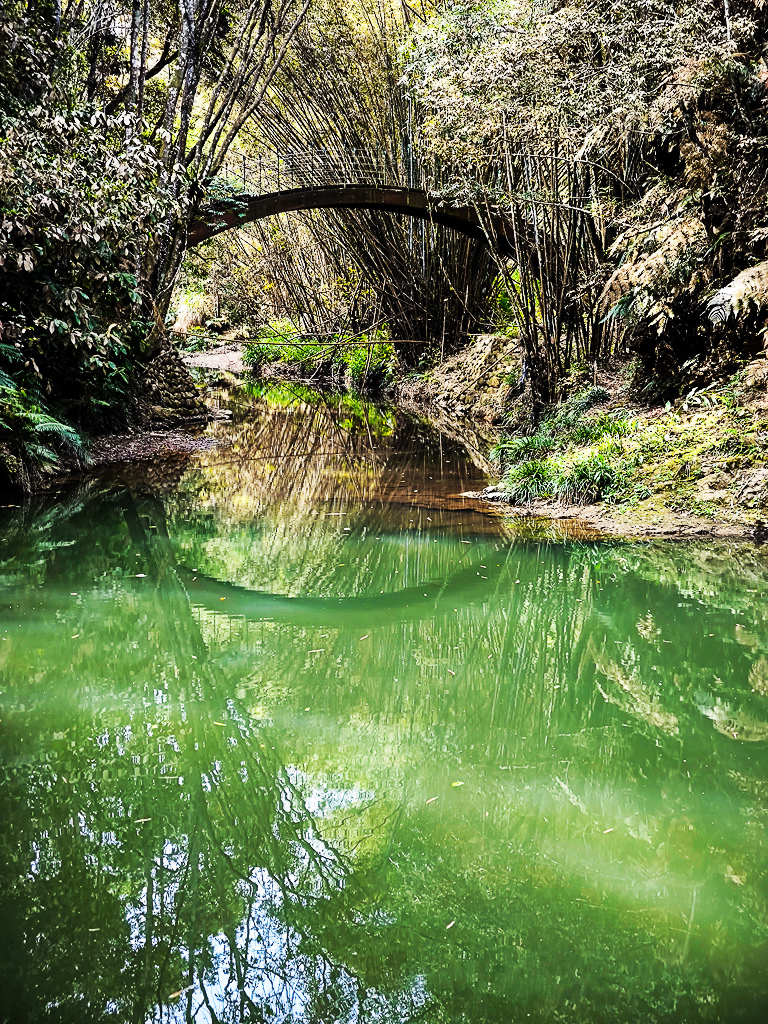 IMG_20250329_095031.jpg IMG_20250329_095031.jpg