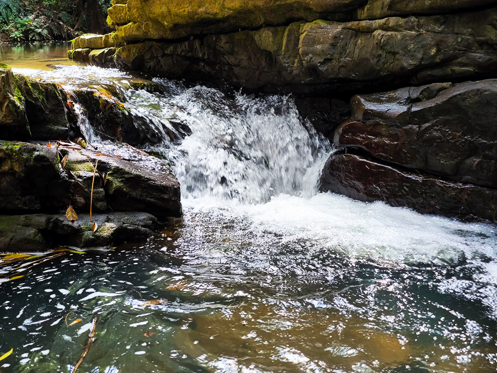 IMG_20250329_094744.jpg IMG_20250329_094744.jpg