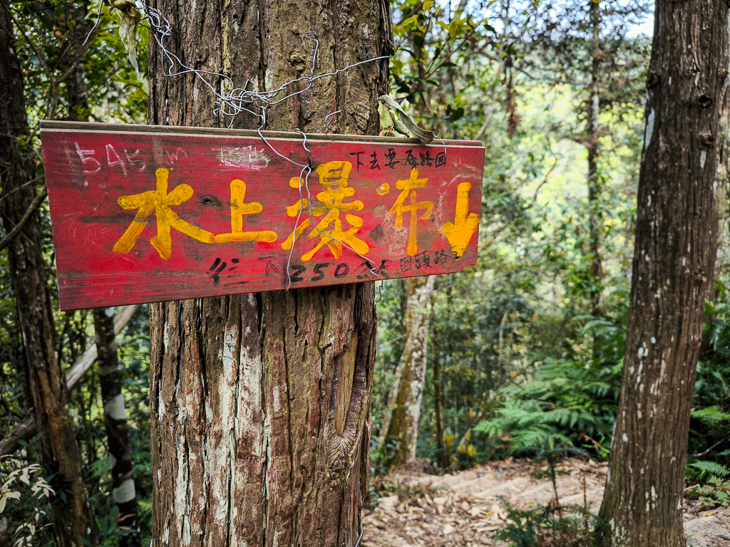 IMG_20250329_095438.jpg IMG_20250329_095438.jpg