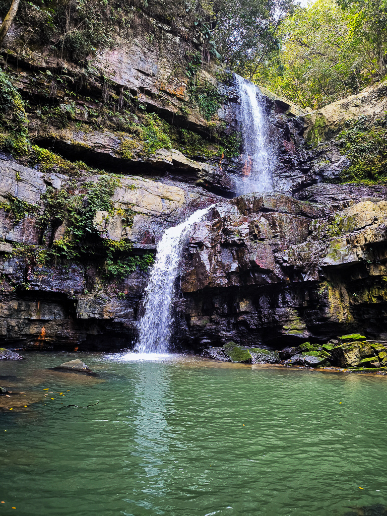 IMG_20250329_100326.jpg IMG_20250329_100326.jpg