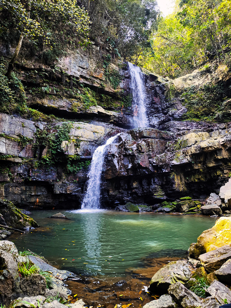 IMG_20250329_101132-編輯.jpg IMG_20250329_101132-編輯.jpg