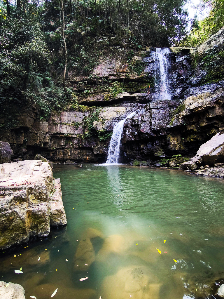 IMG_20250329_101734.jpg IMG_20250329_101734.jpg