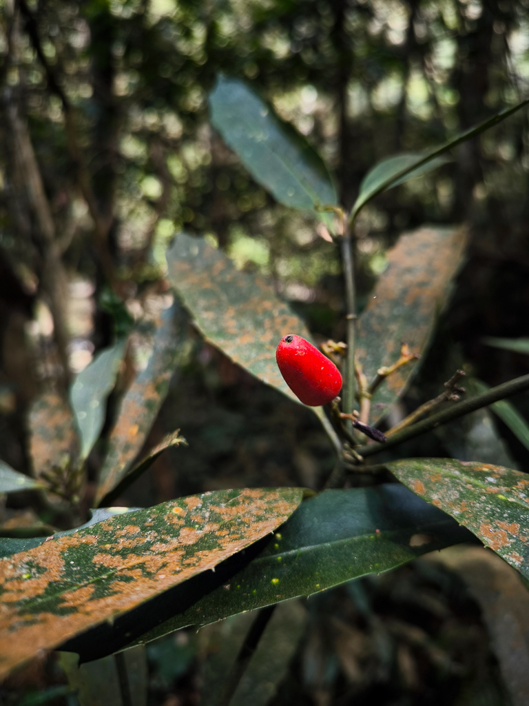 IMG_20250329_102220.jpg IMG_20250329_102220.jpg