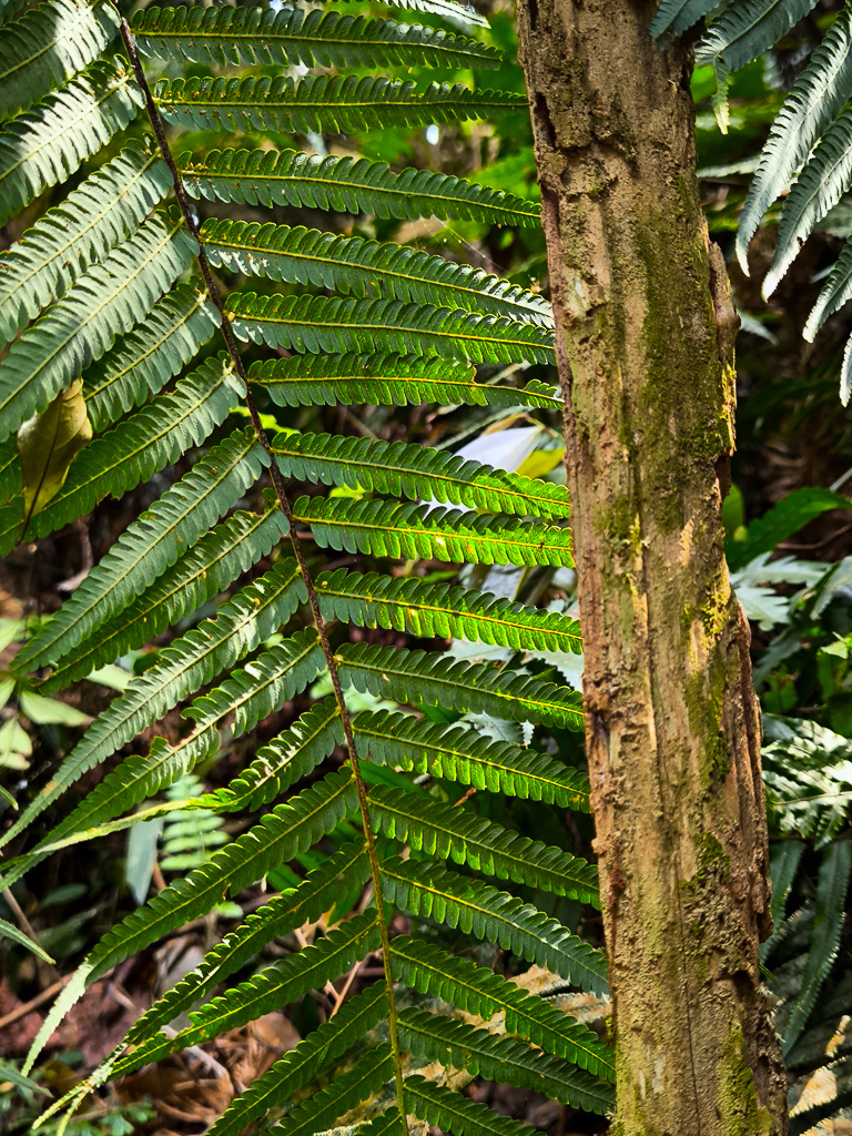 IMG_20250329_102304.jpg IMG_20250329_102304.jpg