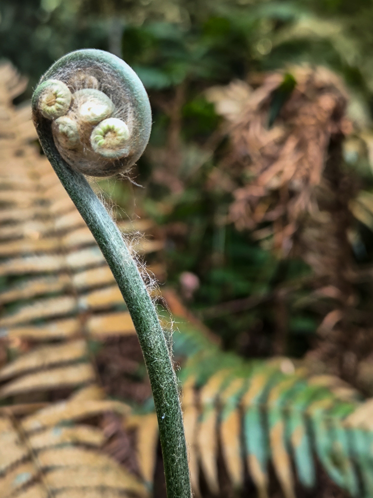 IMG_20250329_102424.jpg IMG_20250329_102424.jpg