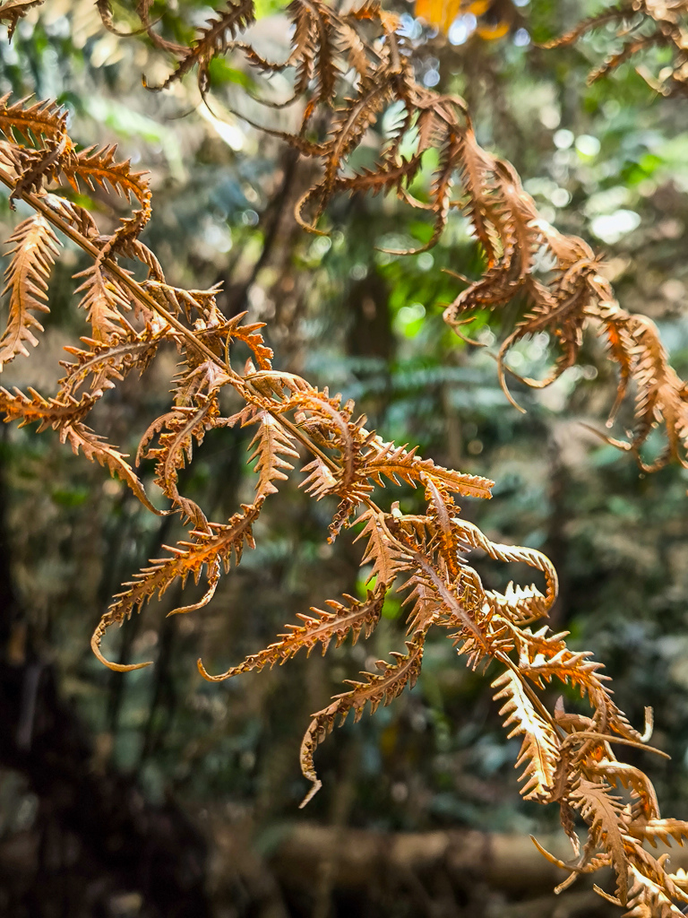 IMG_20250329_102505.jpg IMG_20250329_102505.jpg