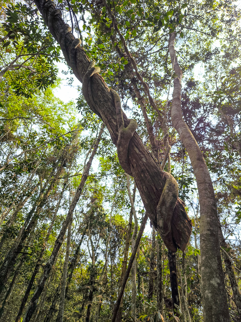 IMG_20250329_102656.jpg IMG_20250329_102656.jpg