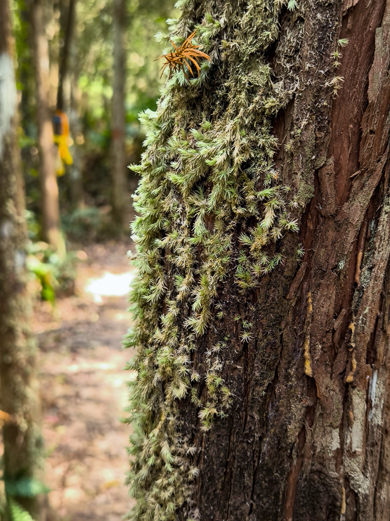 IMG_20250329_102730.jpg IMG_20250329_102730.jpg