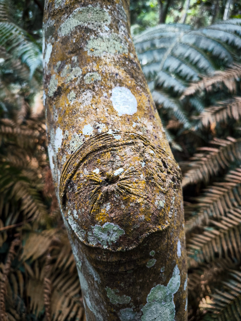 IMG_20250329_103442.jpg IMG_20250329_103442.jpg