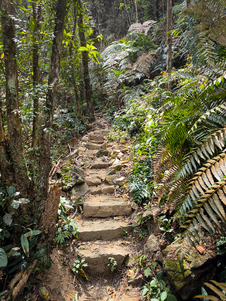 IMG_20250329_103707.jpg IMG_20250329_103707.jpg