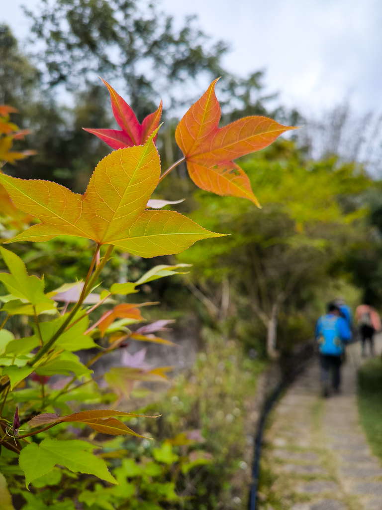 IMG_20250329_111609.jpg IMG_20250329_111609.jpg