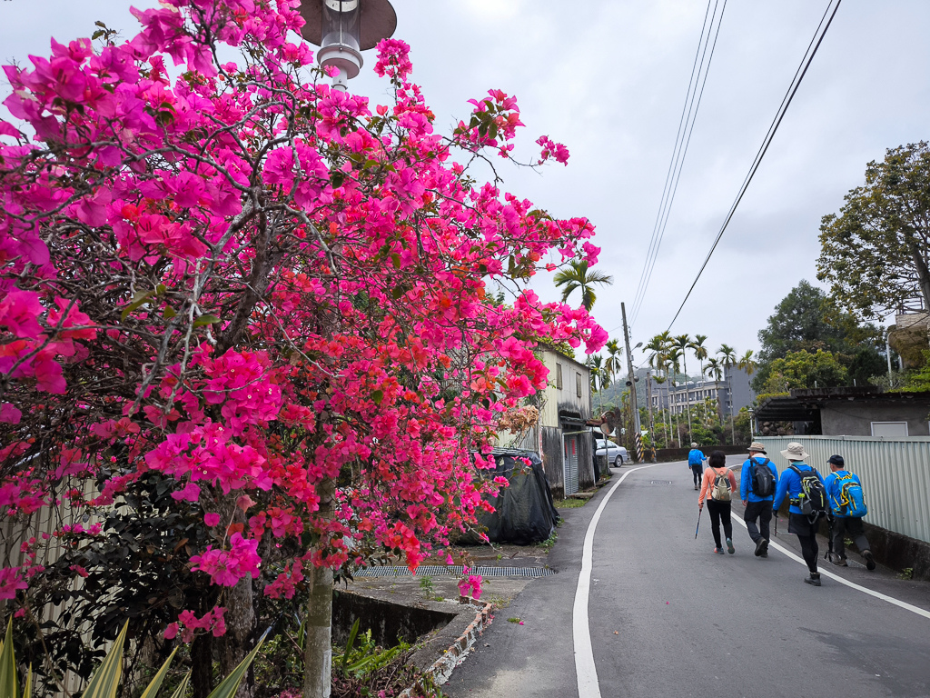 IMG_20250329_112347.jpg IMG_20250329_112347.jpg