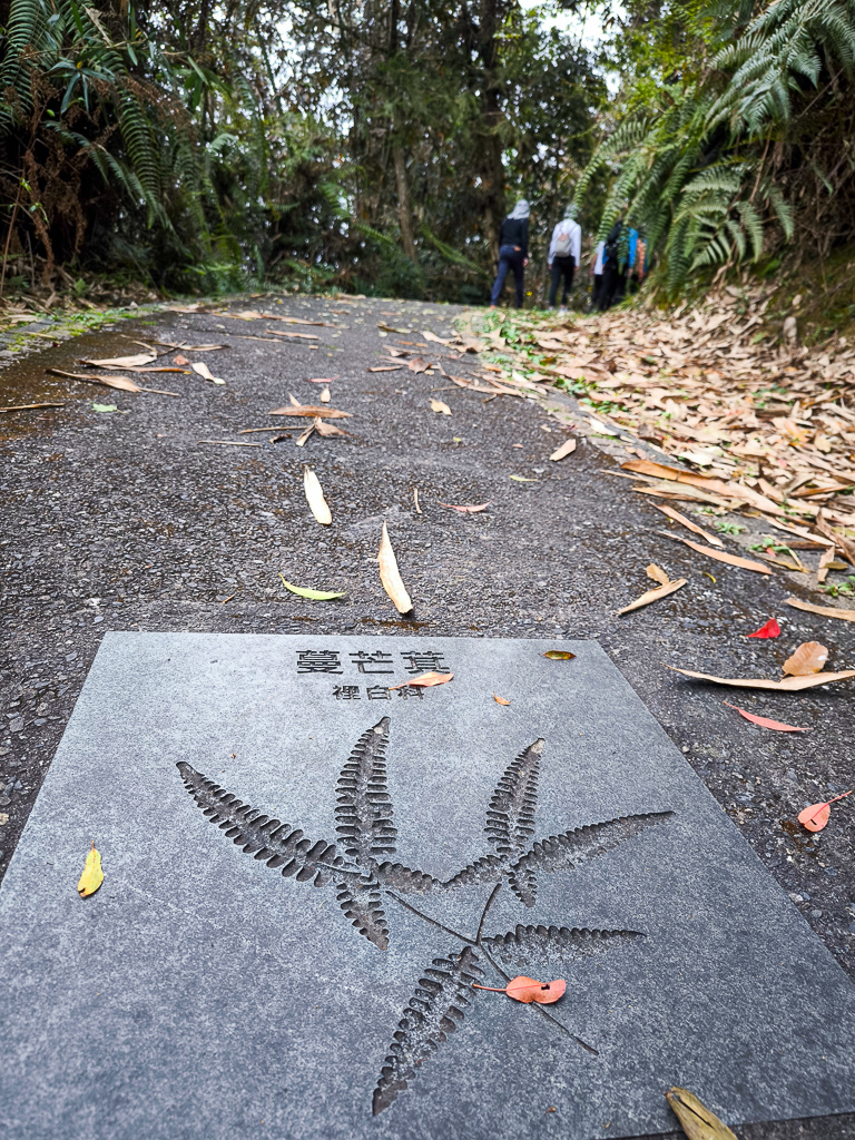 IMG_20250329_130826.jpg IMG_20250329_130826.jpg