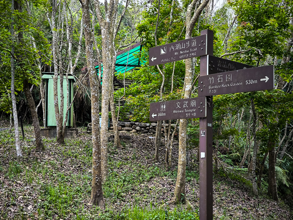 IMG_20250329_130732.jpg IMG_20250329_130732.jpg