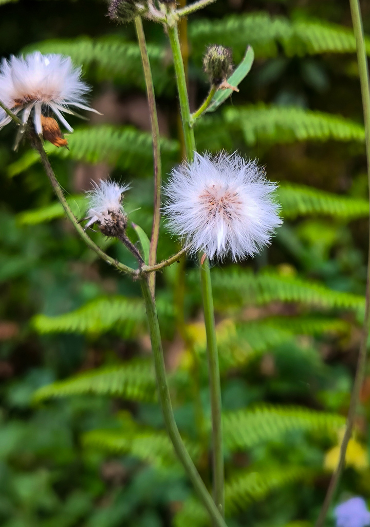 IMG_20250329_130916.jpg IMG_20250329_130916.jpg