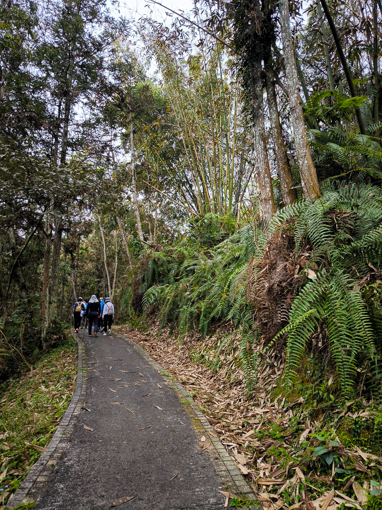 IMG_20250329_130949.jpg IMG_20250329_130949.jpg