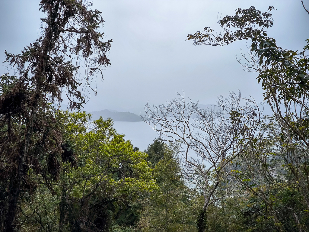 IMG_20250329_131421.jpg IMG_20250329_131421.jpg