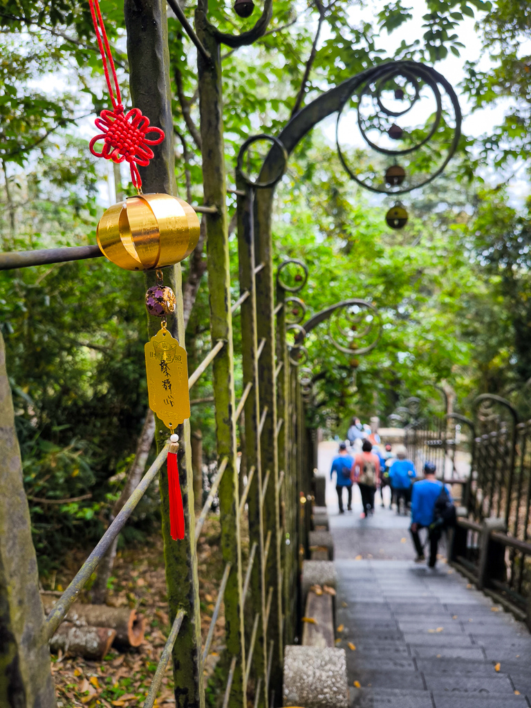 IMG_20250329_133740.jpg IMG_20250329_133740.jpg