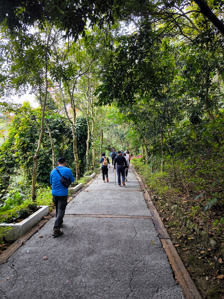 IMG_20250329_140045.jpg IMG_20250329_140045.jpg