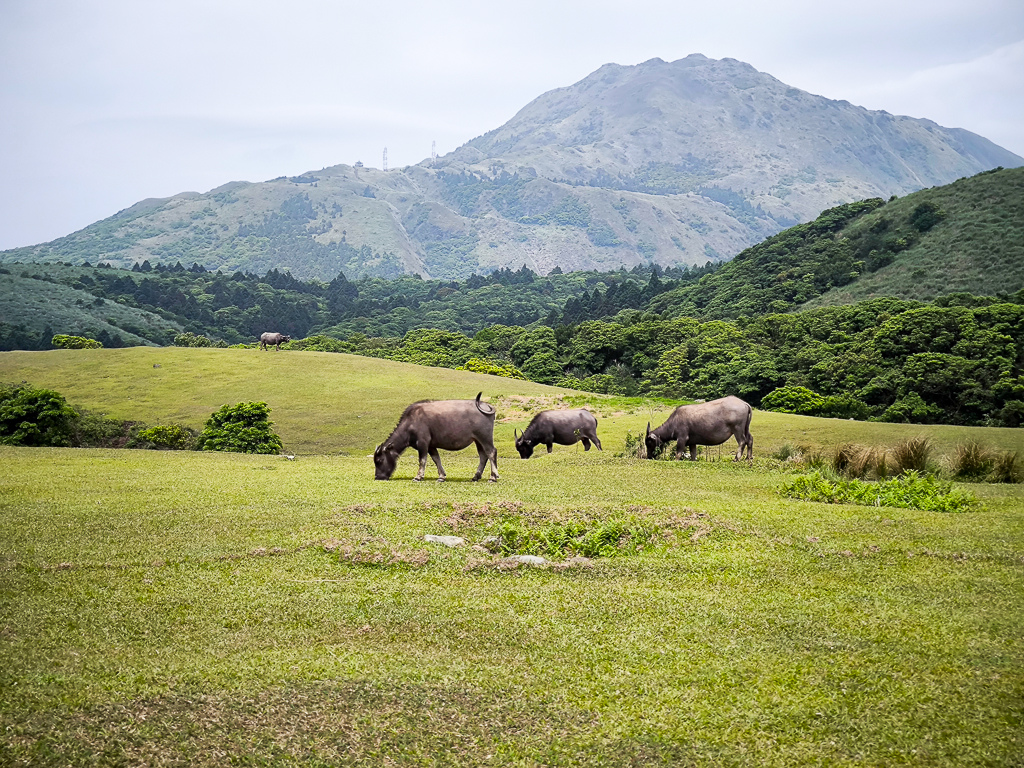 IMG_20250503_101638.jpg IMG_20250503_101638.jpg